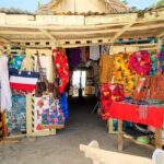 Saona VIP 3 Beaches, Natural Pool & Mano Juan Turtle Sanctuary - Exploring the Itinerary in Detail