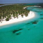 Saona Vip speedboat - What Travelers Say: Authentic Insights
