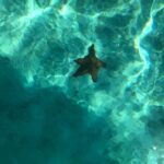 Saona Vip with three Beaches and Lunch - Practical Details & Considerations