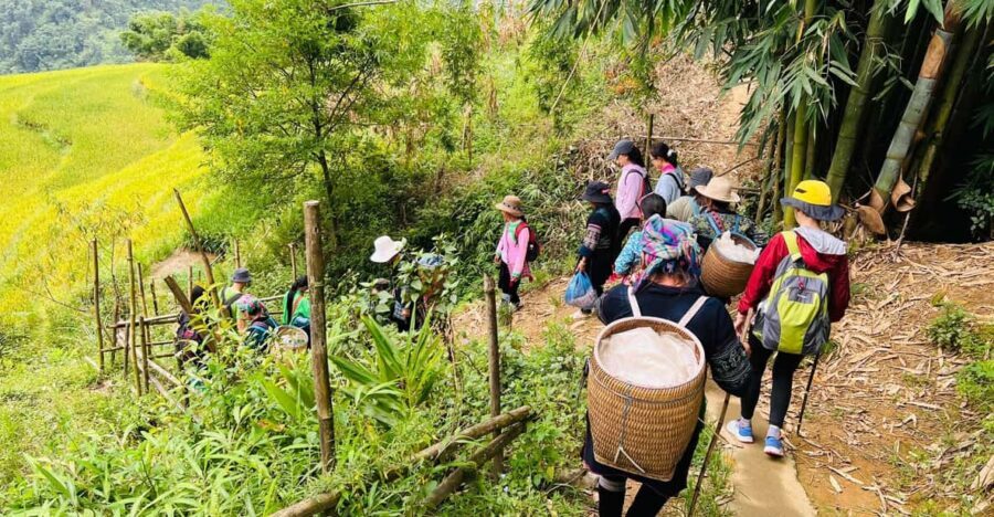 Sapa 1-Day Trekking Tour: Rice Terraces & Villages - The Experience: What Sets It Apart