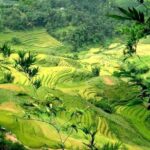 Sapa 2 Days 1 Night From Hanoi - Overnight in Ta Van Homestay - What Makes This Tour Worth It?