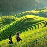 Sapa 2 Days 2 Nights Homestay Motorbike Tour - Practical Insights & Value Analysis