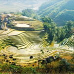 Sapa Amazing Experience: Cat Cat Village 1 Day with Local Guide - Why This Tour Offers Excellent Value