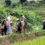 Sapa: Discover the Secrets of Red Dao herbal bath - Lunch in Cang Ngai and Cultural Insights