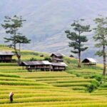 Sapa: Eco Adventure Terrace Fields and Local Villages Trek - What’s Included and What to Keep in Mind