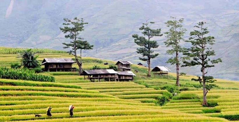 Sapa: Eco Adventure Terrace Fields and Local Villages Trek - What’s Included and What to Keep in Mind