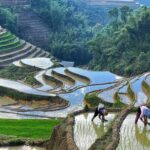 Sapa Explorer Trek: Stunning Views & Minority Villages - In-Depth Itinerary Breakdown