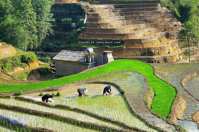 Sapa Highlights Getaway: 2-Day Journey with Luxury 5-Star Stay - Accommodation & Meals