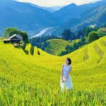 Sapa: No-Trek Tour - Muong Hoa Valley, Villages & Spa - Transportation, Price, and Duration