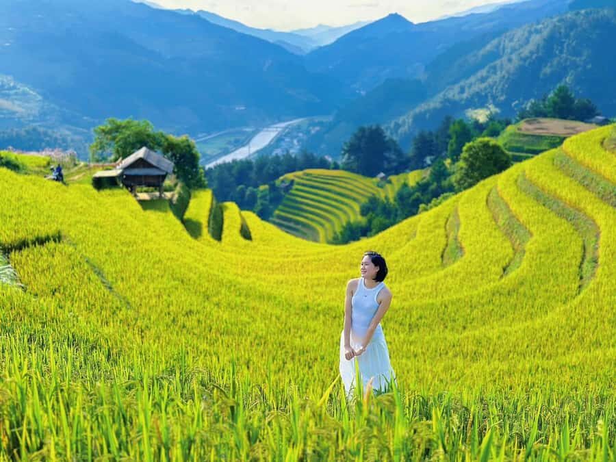 Sapa: No-Trek Tour - Muong Hoa Valley, Villages & Spa - What You Can Expect from the Tour