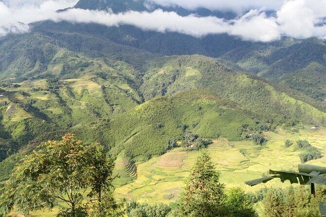 Sapa One Day Motorbike Tour - Why This Tour Is a Great Choice
