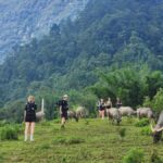 Sapa: One Day Trekking With Local Guide & Lunch - The Itinerary in Detail