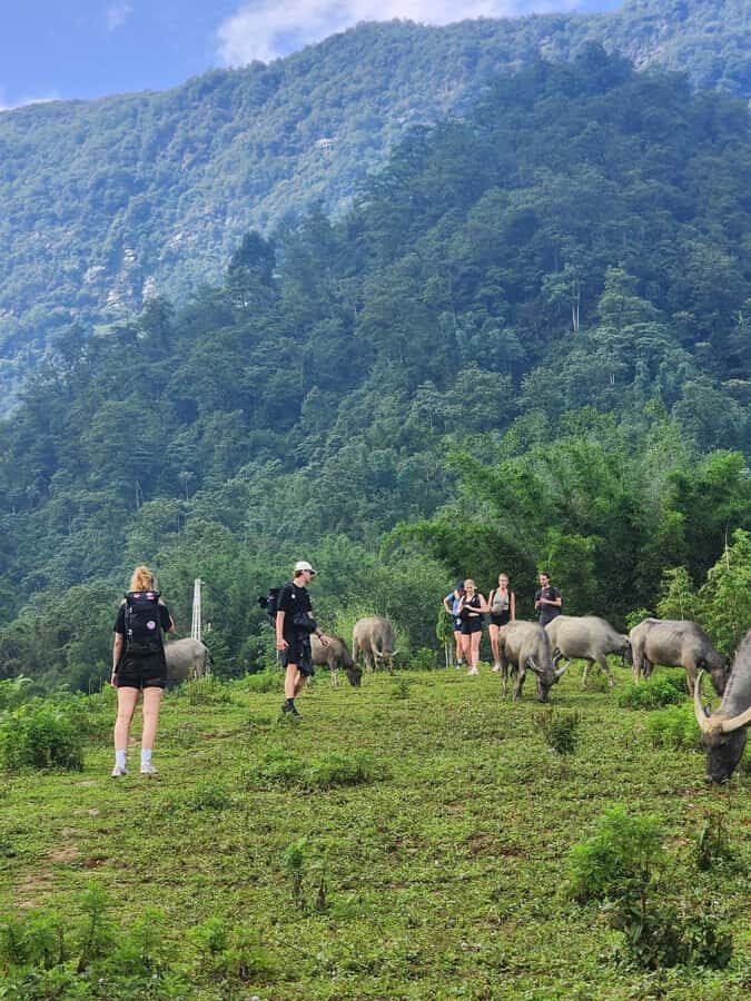 Sapa: One Day Trekking With Local Guide & Lunch - The Itinerary in Detail