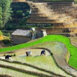 Sapa: Scenic Trek Through Majestic Rice Terraces & Rural Villages - Practical Tips & Considerations