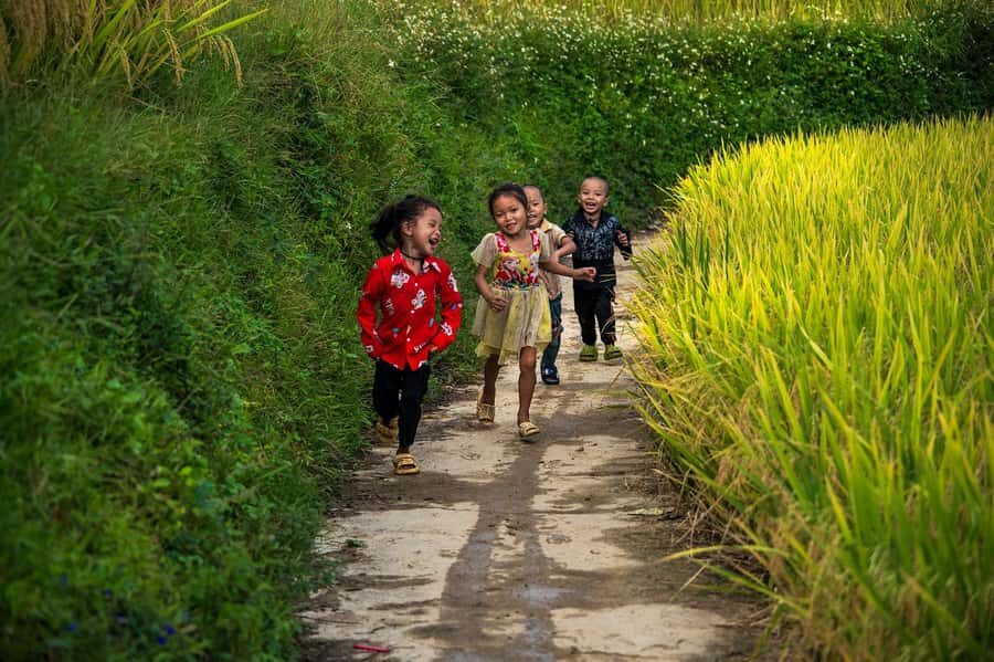 Sapa Trekking Explore Terraced Rice Fields, Ethnic Culture - What to Expect from the Tour Experience