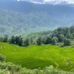 Sapa: Trekking Through Y Linh Ho - Lao Chai & Ta Van Village - What to Expect: The Details Behind the Experience