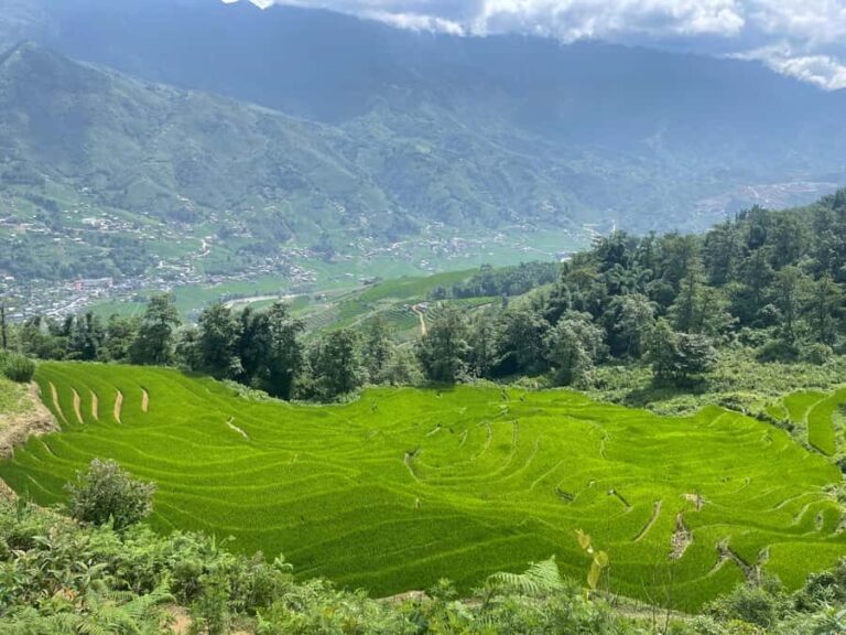 Sapa: Trekking Through Y Linh Ho - Lao Chai & Ta Van Village - What to Expect: The Details Behind the Experience