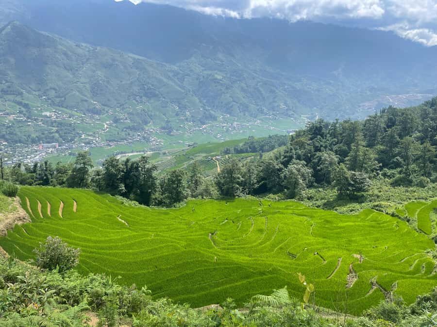 Sapa: Trekking Through Y Linh Ho - Lao Chai & Ta Van Village - What to Expect: The Details Behind the Experience