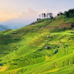 Sapa: Trekking to Y Linh Ho, Lao Chai & Ta Van Villages - Discovering Sapa: An Authentic Mountain Journey