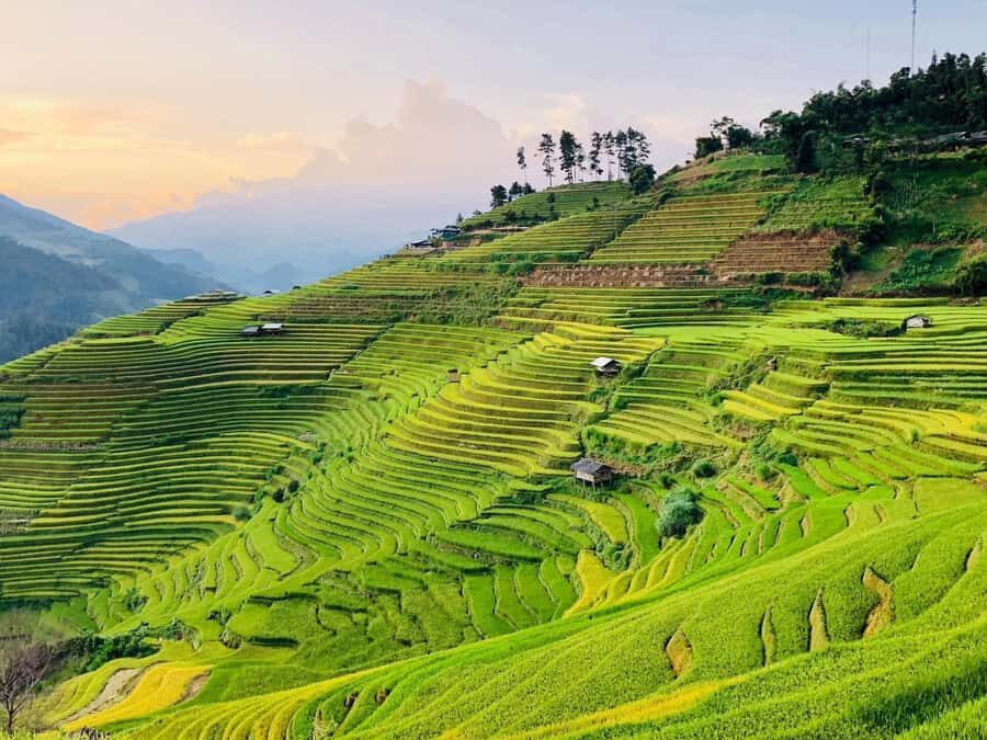 Sapa: Trekking to Y Linh Ho, Lao Chai & Ta Van Villages - Discovering Sapa: An Authentic Mountain Journey