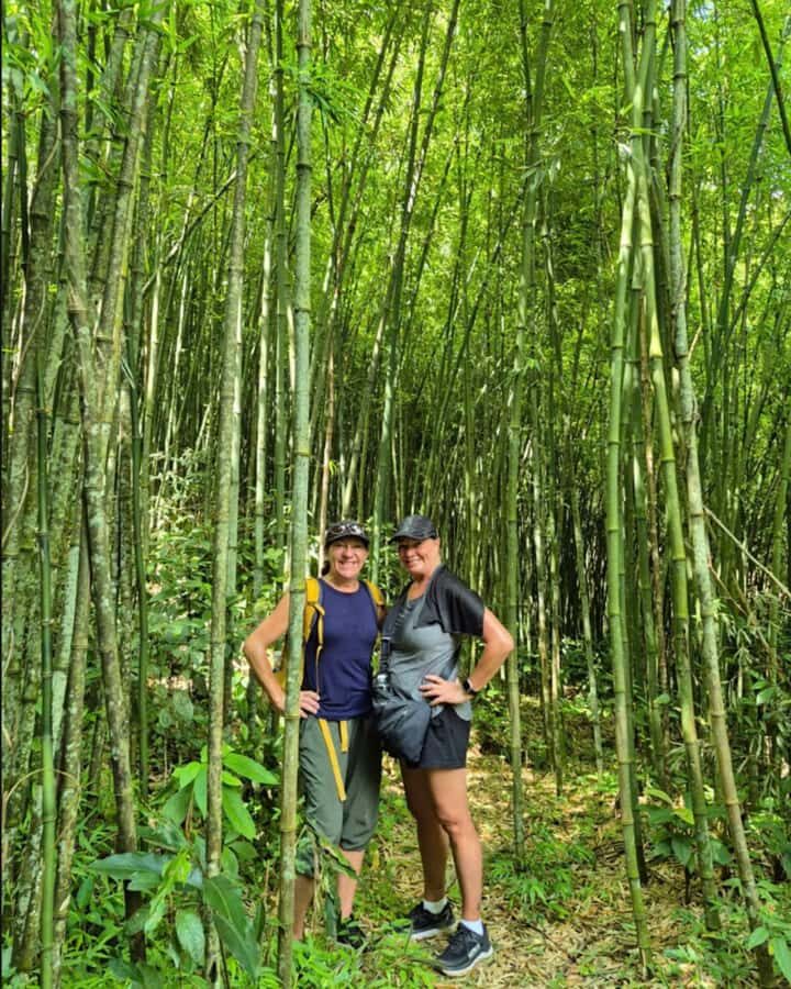 Sapa: Y Linh Ho, Muong Hoa Valley Trek & Village Experience - Practical Details & What to Expect