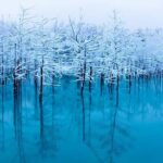 Sapporo: Asahiyama Zoo and Ningle Terrace Trip /w Pickup - Practical Details and Considerations