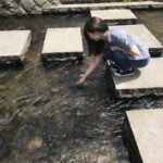 Sapporo: City Center History and Art Walking Tour - A Closer Look at the Itinerary and Experience