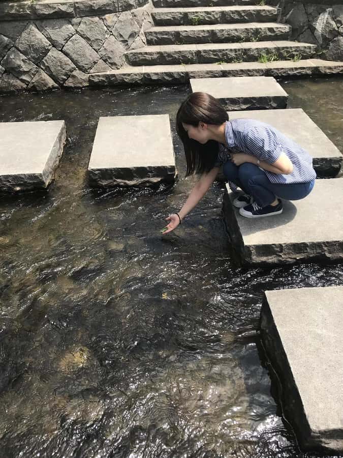 Sapporo: City Center History and Art Walking Tour - A Closer Look at the Itinerary and Experience