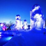 Sapporo departure: Lake Shikotsu Ice Festival Half-Day Tour - Analyzing the Value