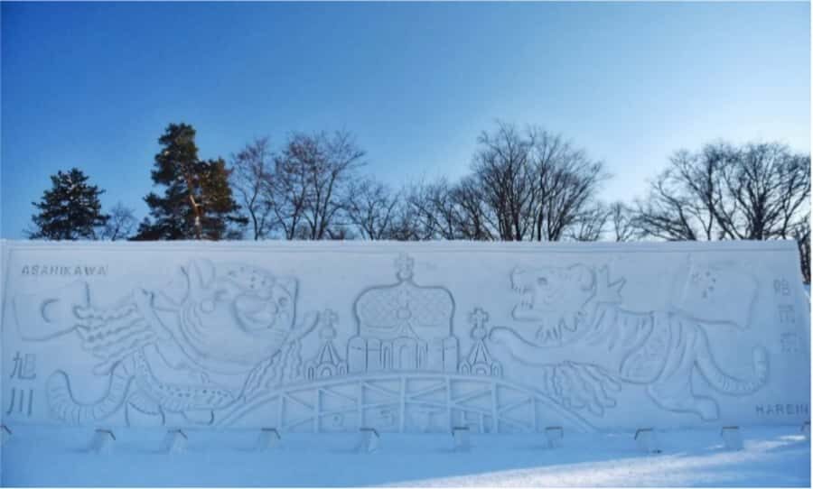 Sapporo: Heiwa-dori Ice Festival Private Day Tour - Practical Details and Tips