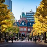 Sapporo Highlights: Art, Nature & Architecture Private Tour - Practical Details: What to Expect
