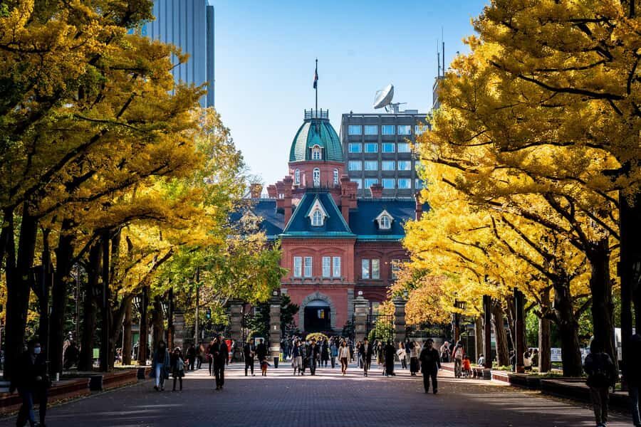 Sapporo Highlights: Art, Nature & Architecture Private Tour - Practical Details: What to Expect