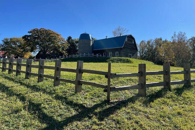 Sapporo: Hokkaido Historical Village Step into the Frontier - Who Should Book This Tour?