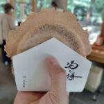 Sapporo: Hokkaido Shrine Tour with Rituals, History & Sweets - Practical Aspects & Value