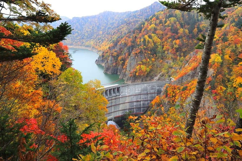 Sapporo in Autumn: Hoheikyo Dam and Hoheikyo Onsen Tour - Who Would Enjoy This Tour?