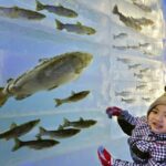 Sapporo: Lake Shikotsu Ice Festival & Hot Spring Day Trip - Visiting Lake Shikotsu Ice Festival