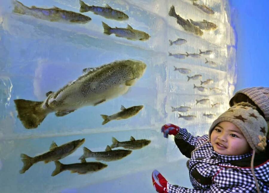 Sapporo: Lake Shikotsu Ice Festival & Hot Spring Day Trip - Visiting Lake Shikotsu Ice Festival