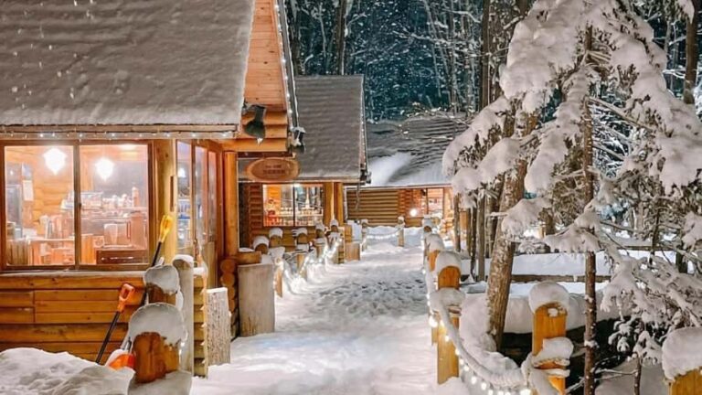 Sapporo Limited: Hokkaido Winter Blue Pond Illumination Tour - First Stop: Forest Elf Terrace or Shirakabe Waterfall