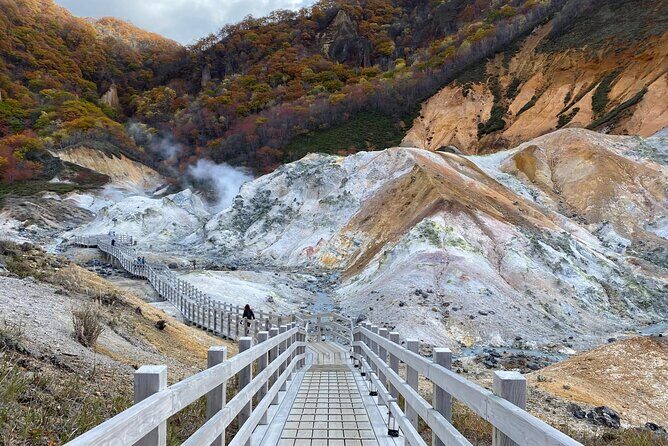 Sapporo: Noboribetsu Hell Valley, Lake Toya & Bear Farm Tour - A Detailed Look at the Tour Experience