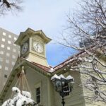 Sapporo: Private Full Day City and Cultural Tour with Guide - What You Can Expect from the Tour