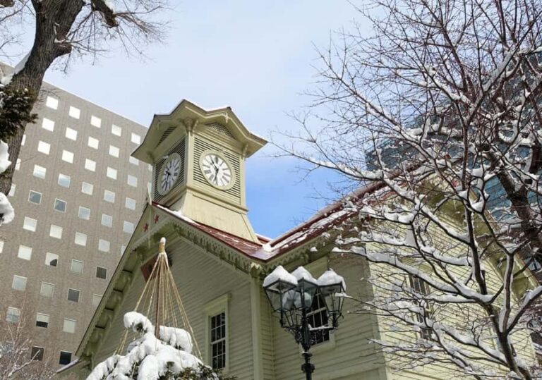 Sapporo: Private Full Day City and Cultural Tour with Guide - What You Can Expect from the Tour