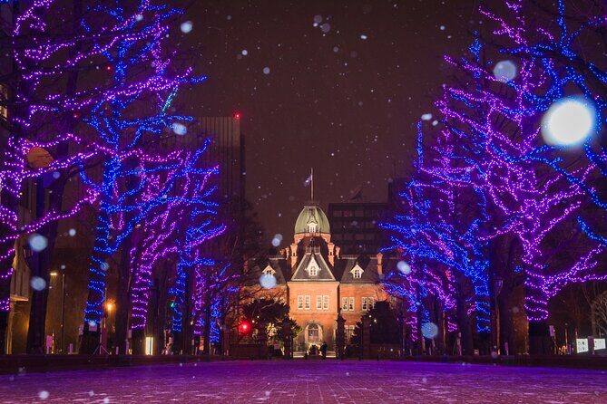 Sapporo Private Walking Christmas Market and Illumination Tour - Who Would Love This Experience?