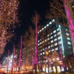 Sapporo Private Walking Christmas Market & Illumination Tour - Overview of the Tour