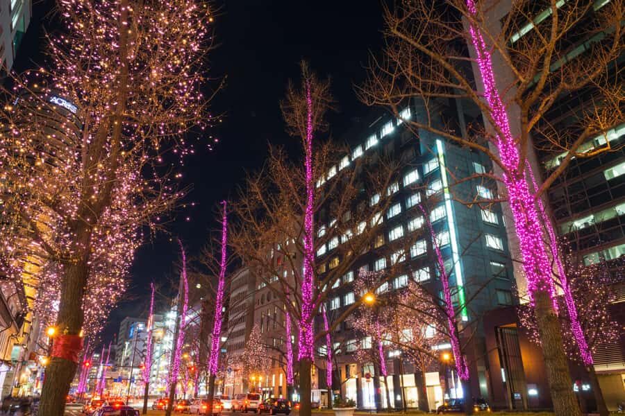 Sapporo Private Walking Christmas Market & Illumination Tour - Overview of the Tour