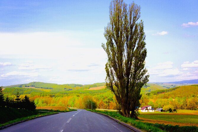 Sapporo to Blue Pond & Shirahige Falls Furano Private Tour - Final Thoughts