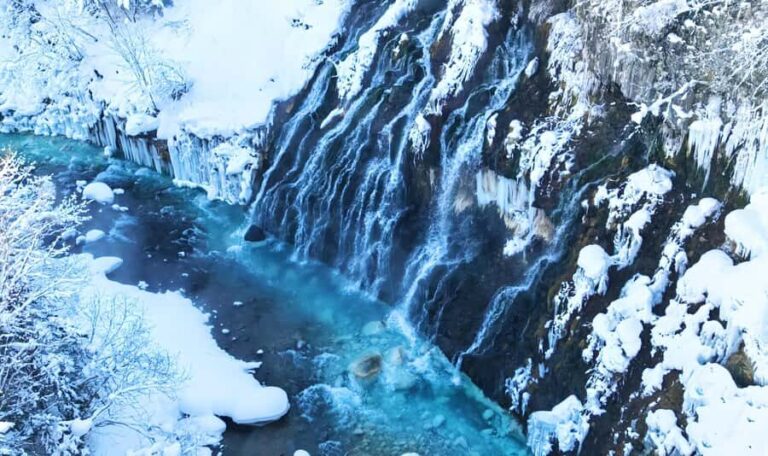 Sapporo:Asahiyama Zoo,Shirahige Waterfall&Blue Pond Day Trip - Good To Know