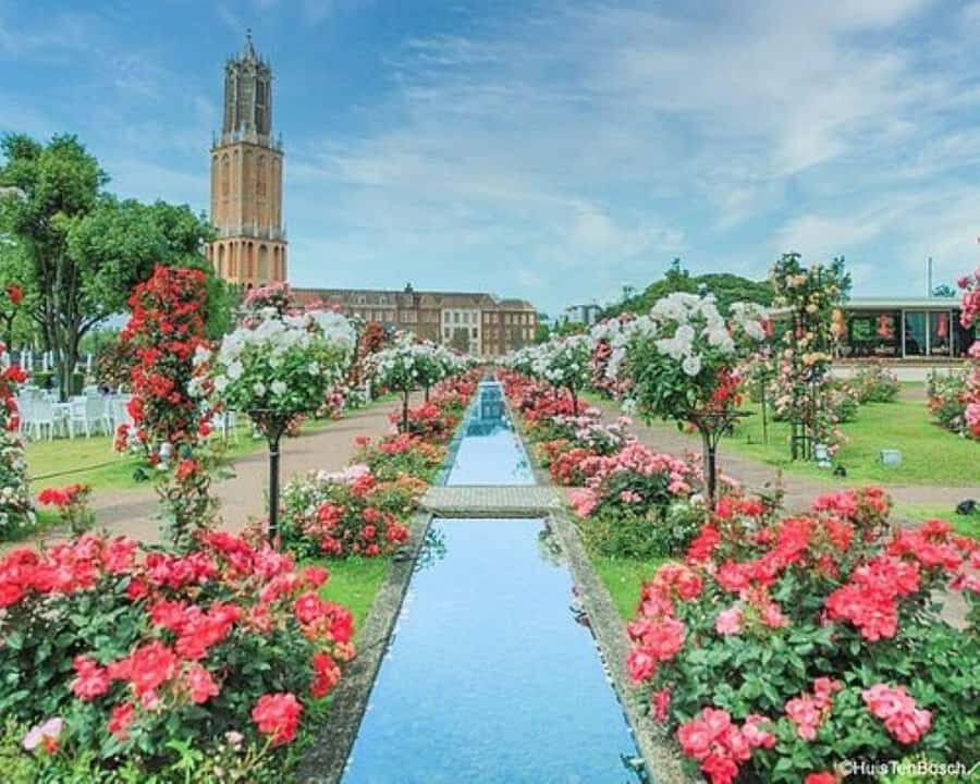 Sasebo: Hidden Gems Culture, Spirit, and Flavors Tour - Pricing and Value