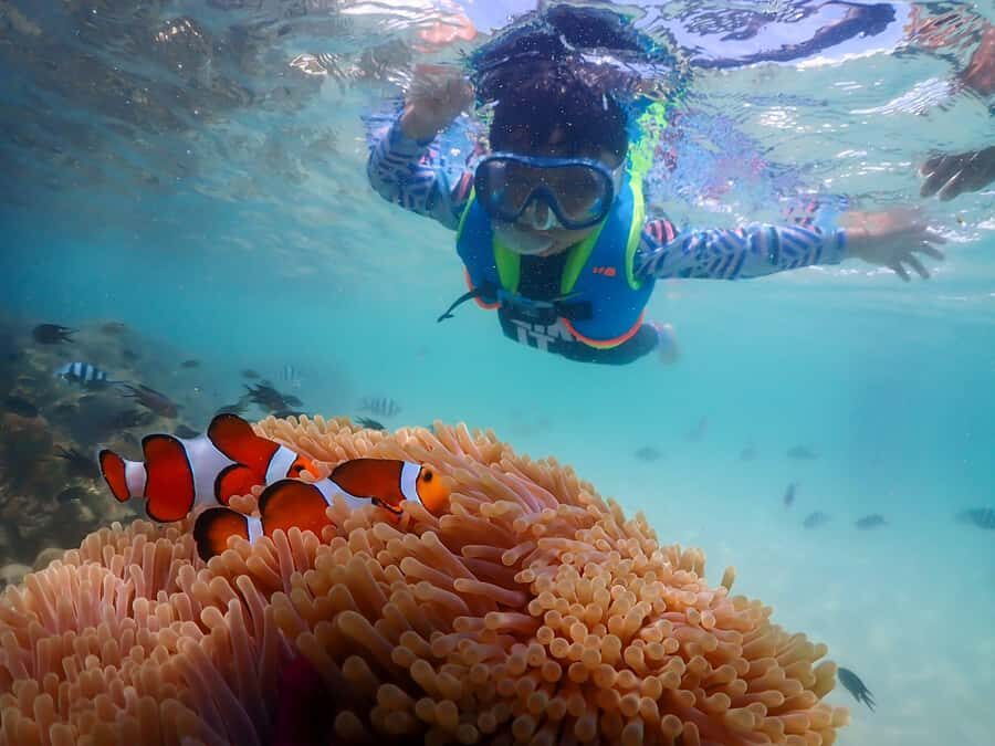 Sattahip: Private Half Day Snorkeling tour - Exploring the Details of the Sattahip Snorkeling Tour