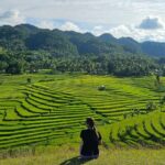 Scenic Bohol Candijay Tour with Private Driver-Guide - An In-Depth Look at the Bohol Candijay Tour