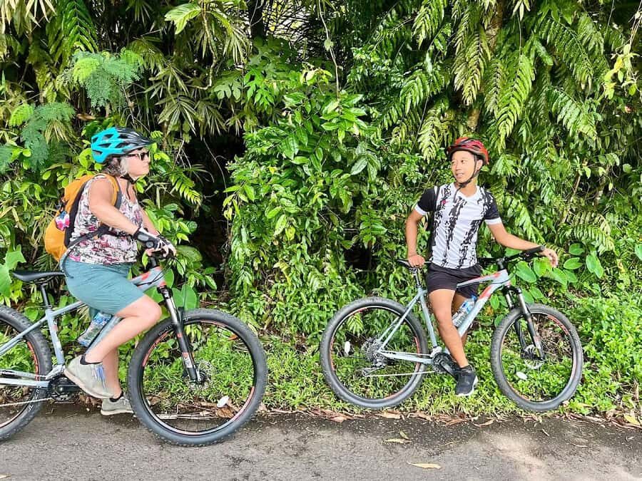 Scenic Cycling Tours Through Bali's Sidemen Countryside - Final Thoughts: Who Will Love This Tour?